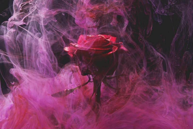 Mystical Flowers